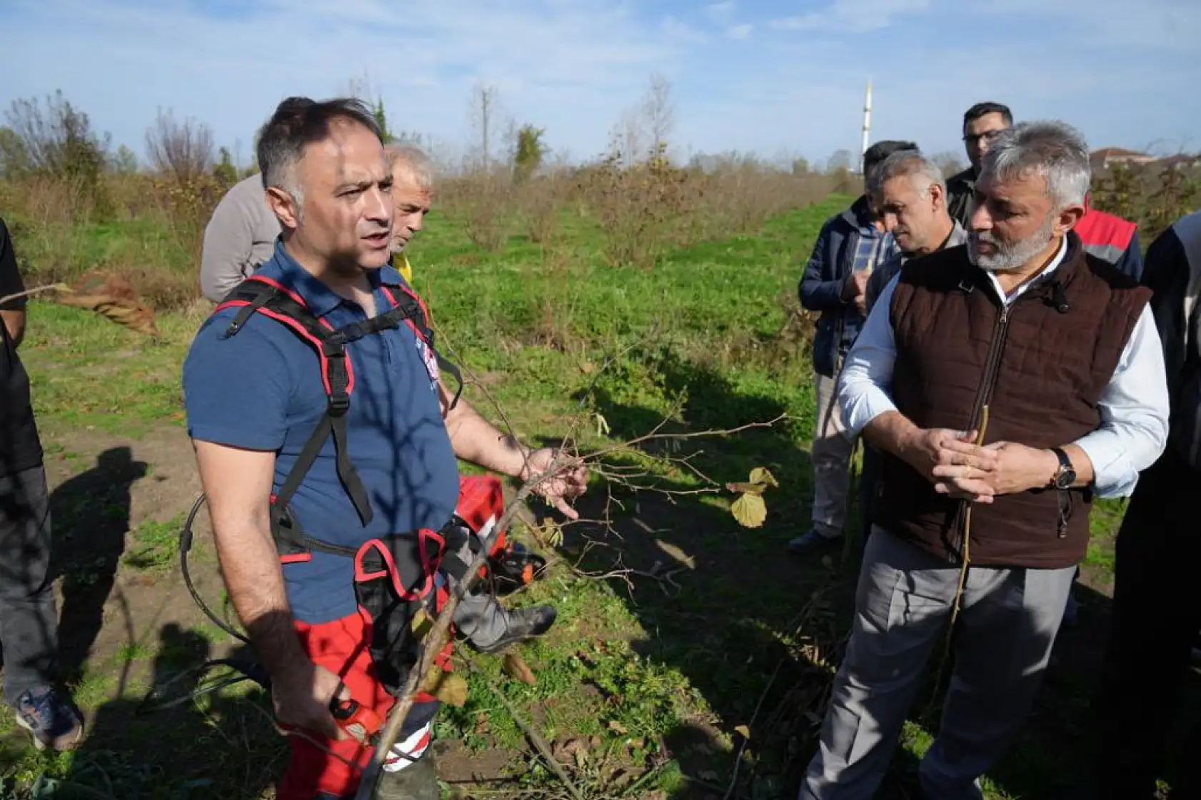 Fındıkta Verimi Artıran Sır: Güneş, Doğru Budama ve Temiz Ocaklar