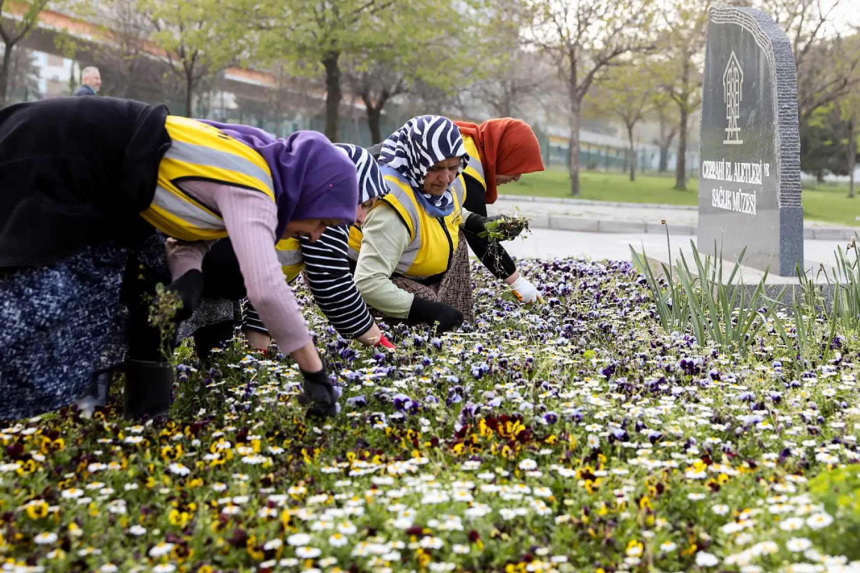 Samsun'un renk kaynakları!