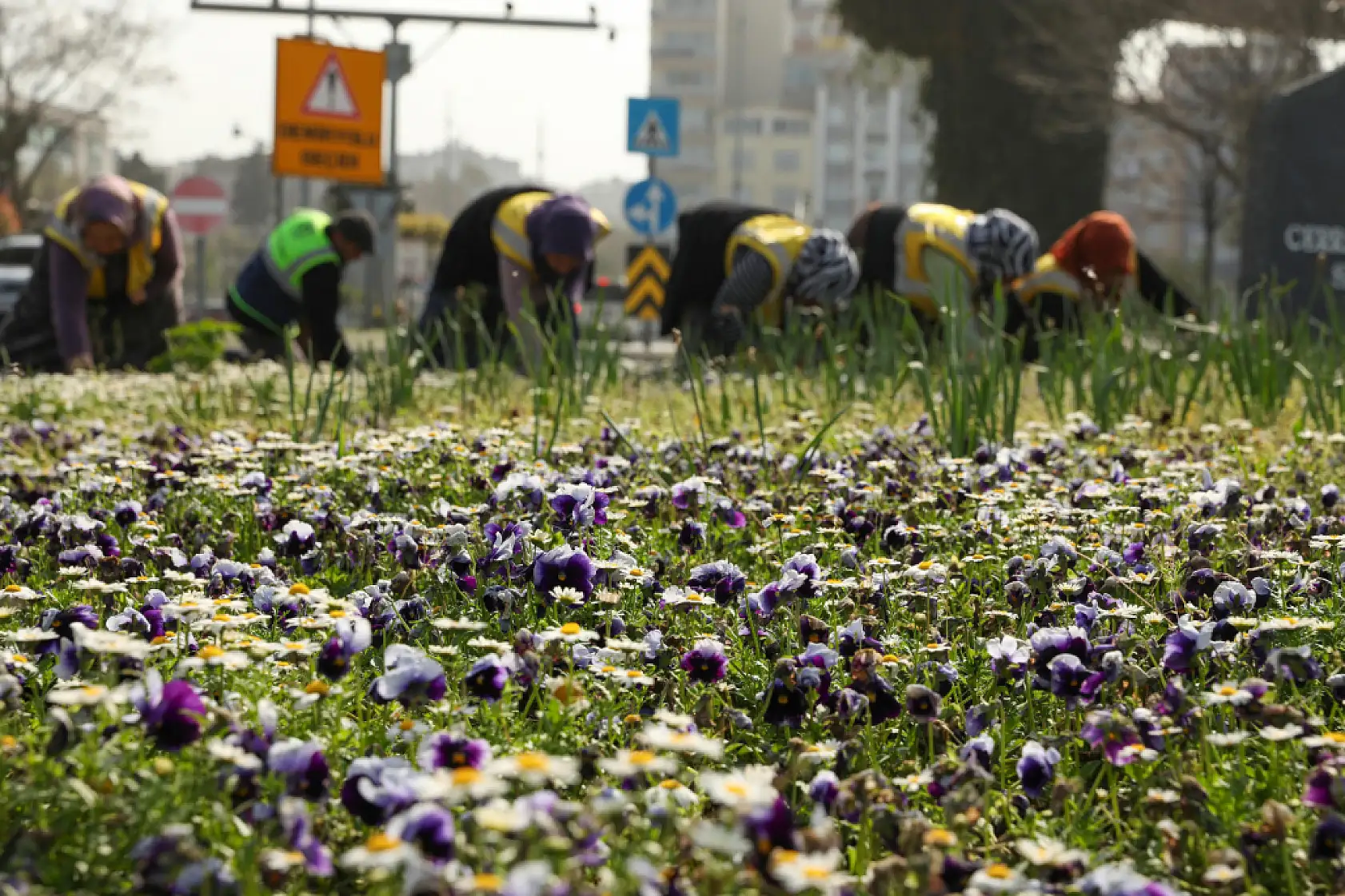 Samsun'un renk kaynakları!