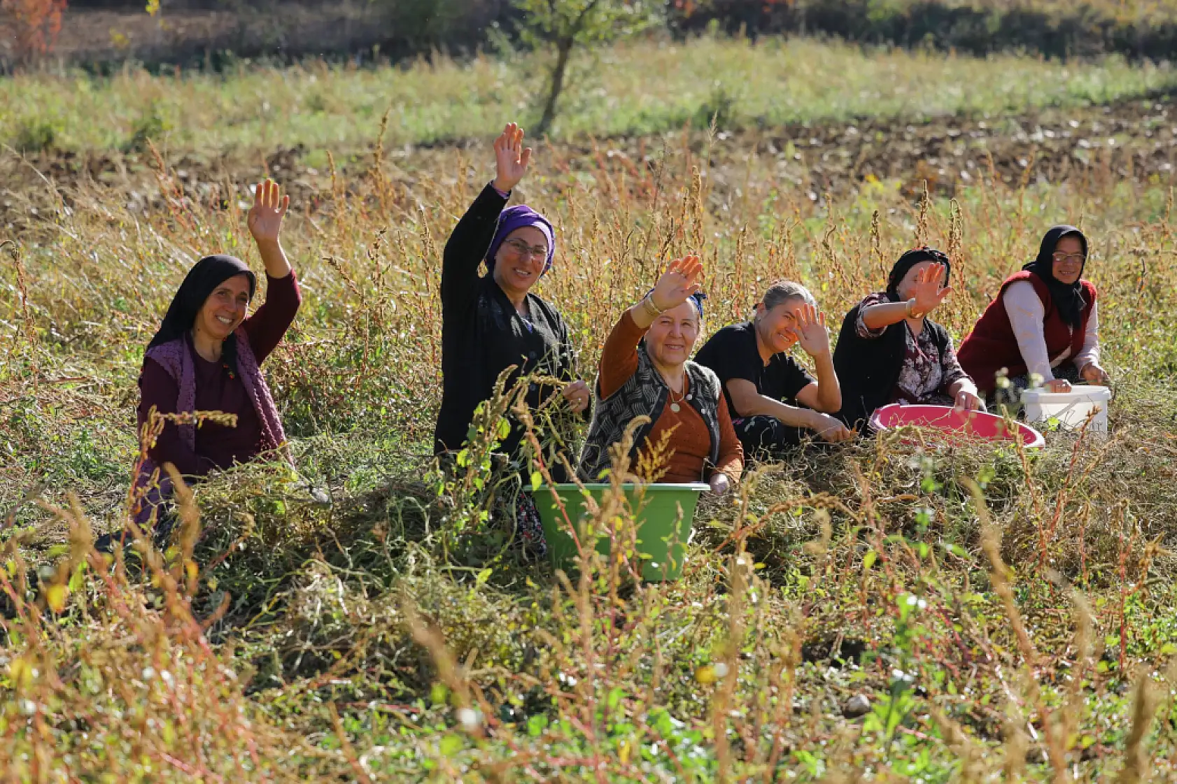 Büyükşehir'den rekor destek