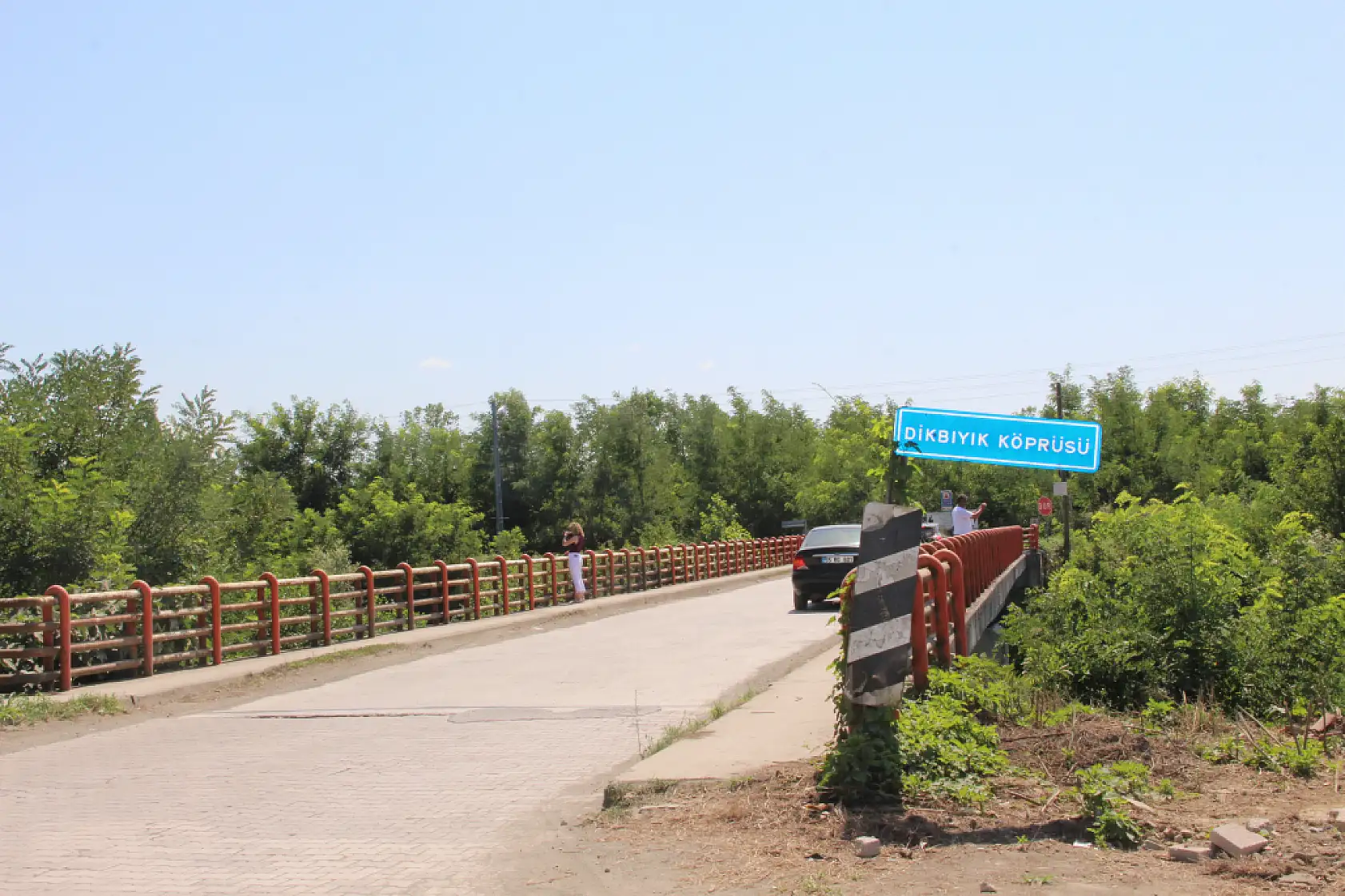 Dikbıyık'ta Biyokütle Santrali Tepkisi: