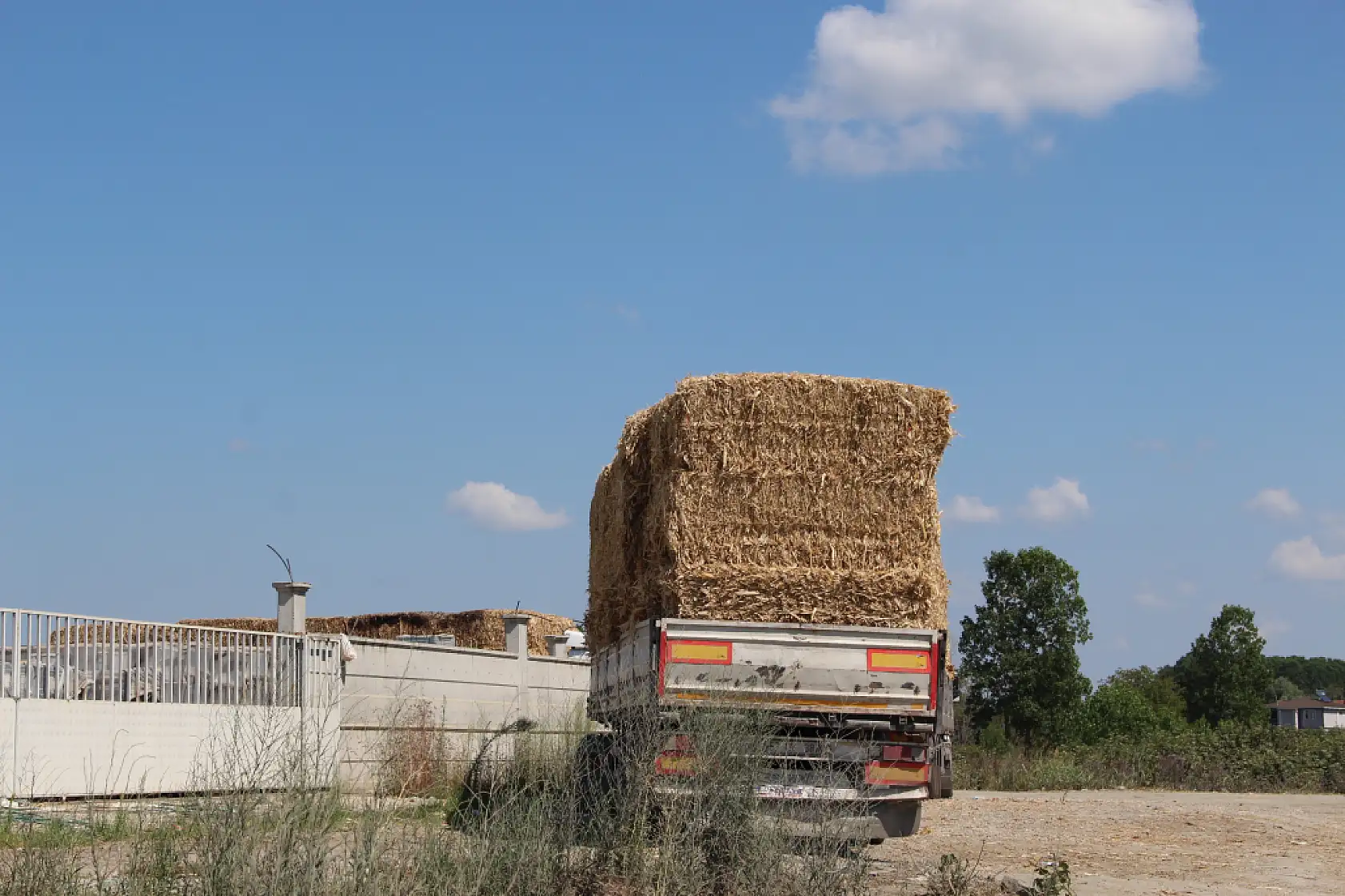 Dikbıyık'ta Biyokütle Santrali Tepkisi: