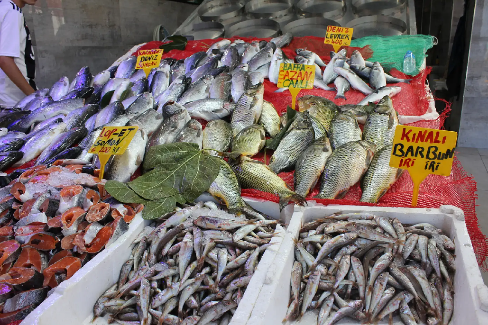 Samsunlu Balıkçılardan Müjde 'Bu Sene Hamsi Bolluğu Var'