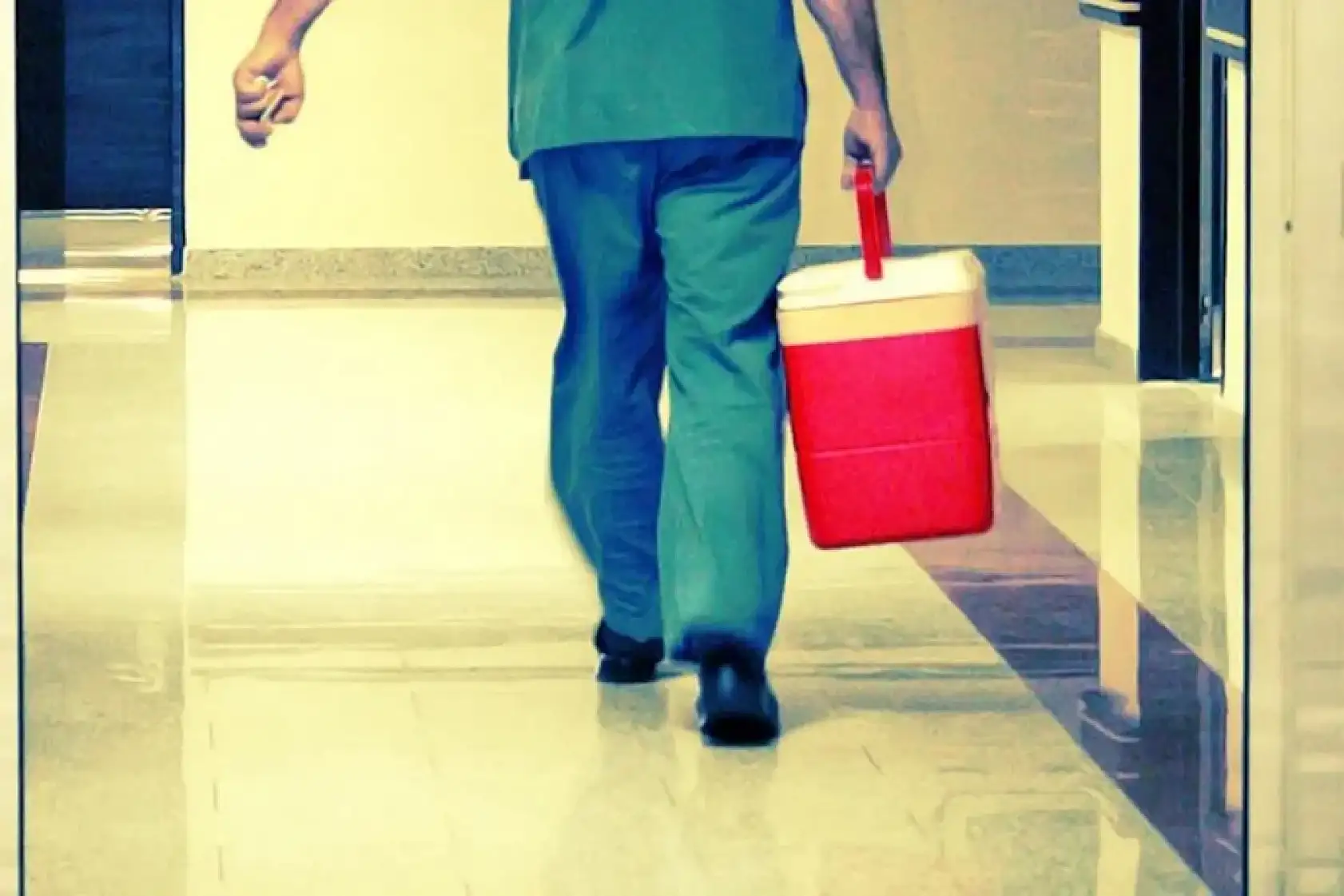 Organ naklinde yeni dönem başladı