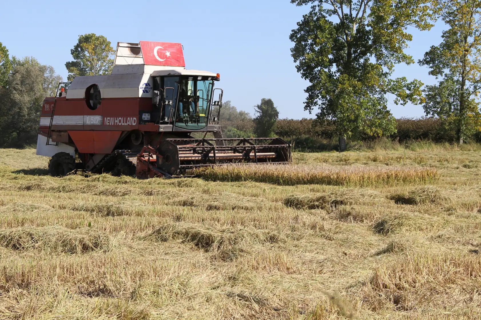 Tarlalarda biçerdöver sesleri yankılanıyor