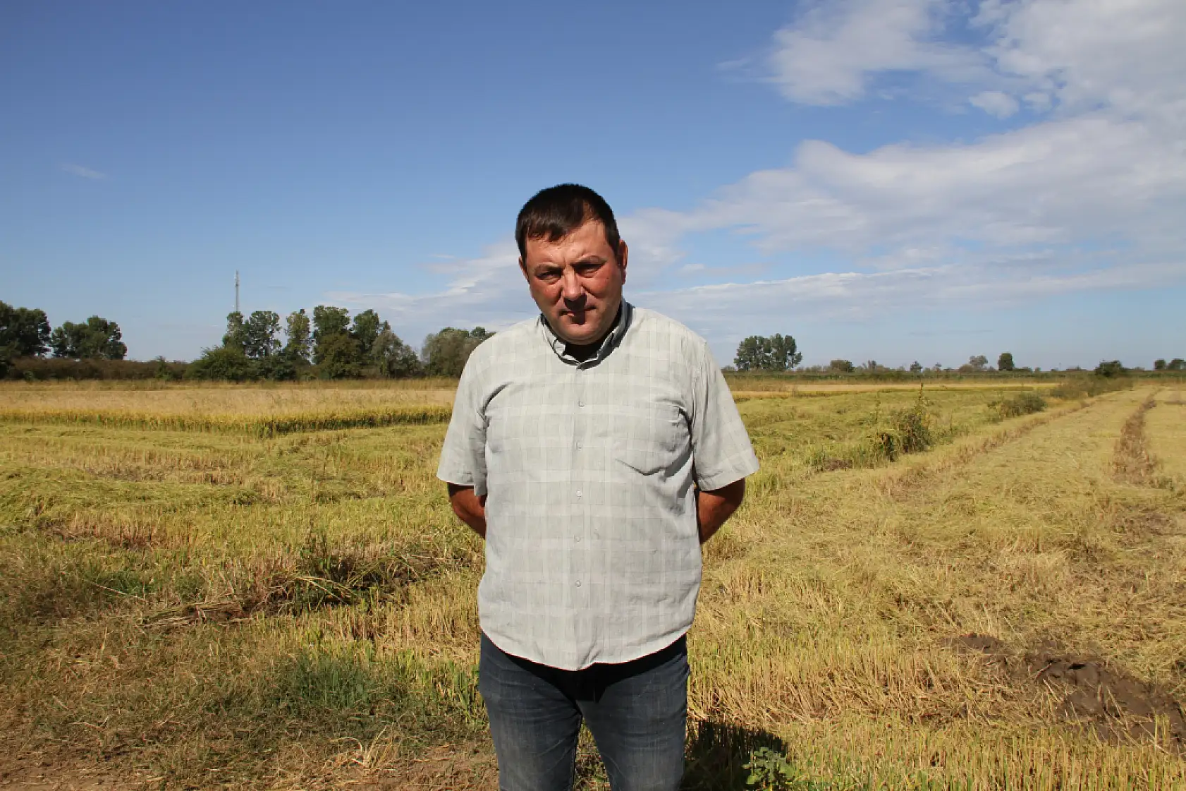 Tarlalarda biçerdöver sesleri yankılanıyor