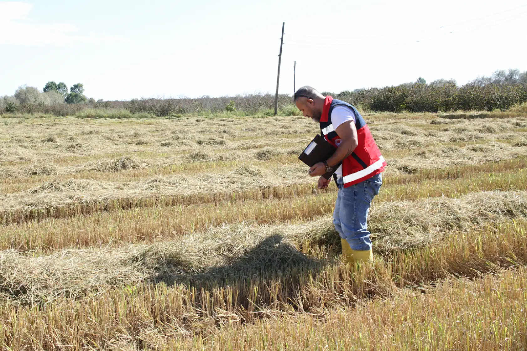 Tarlalarda biçerdöver sesleri yankılanıyor