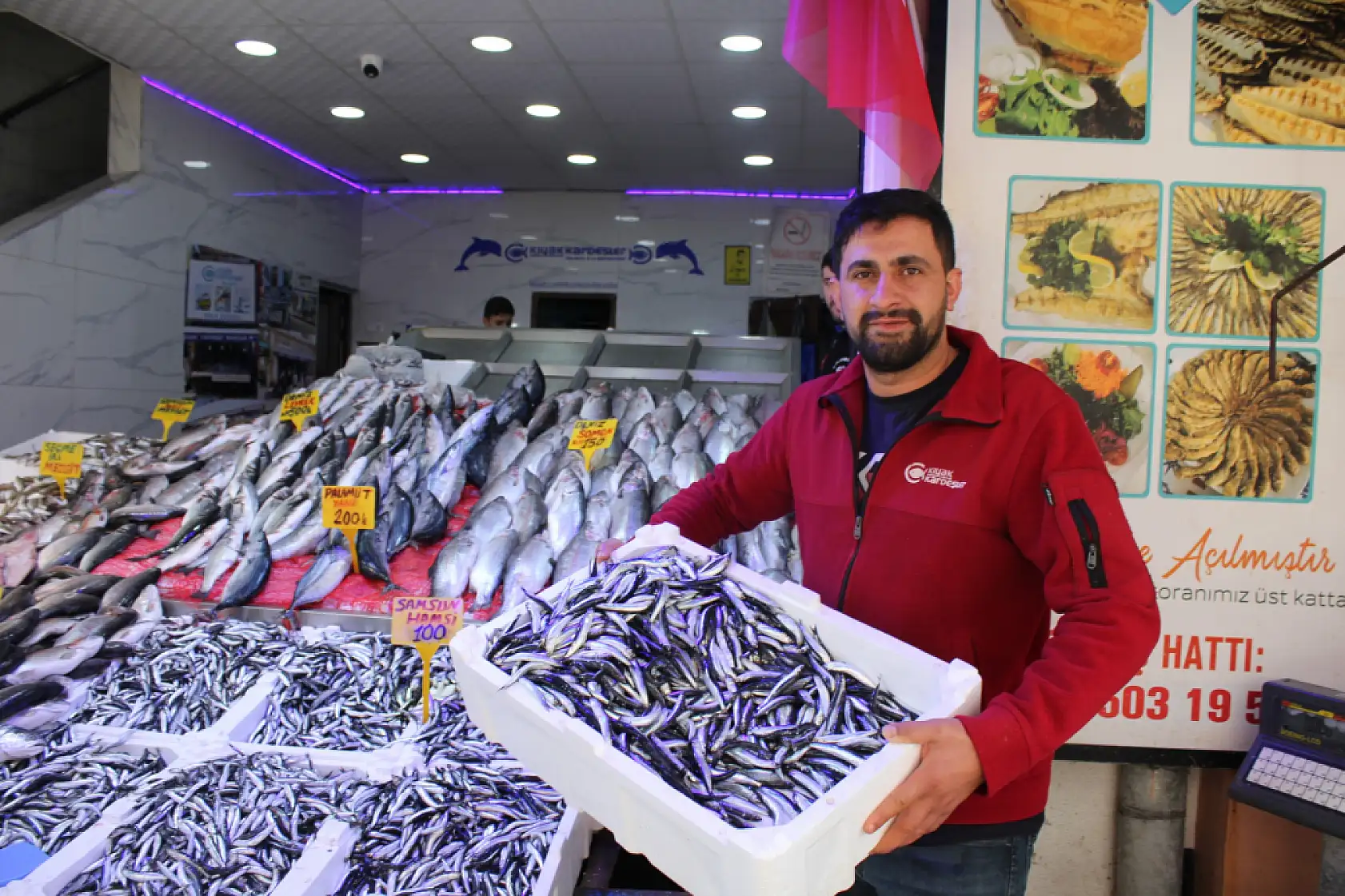 Merak edilen Hamsi 'iri mi?' sorusuna yanıt geldi !