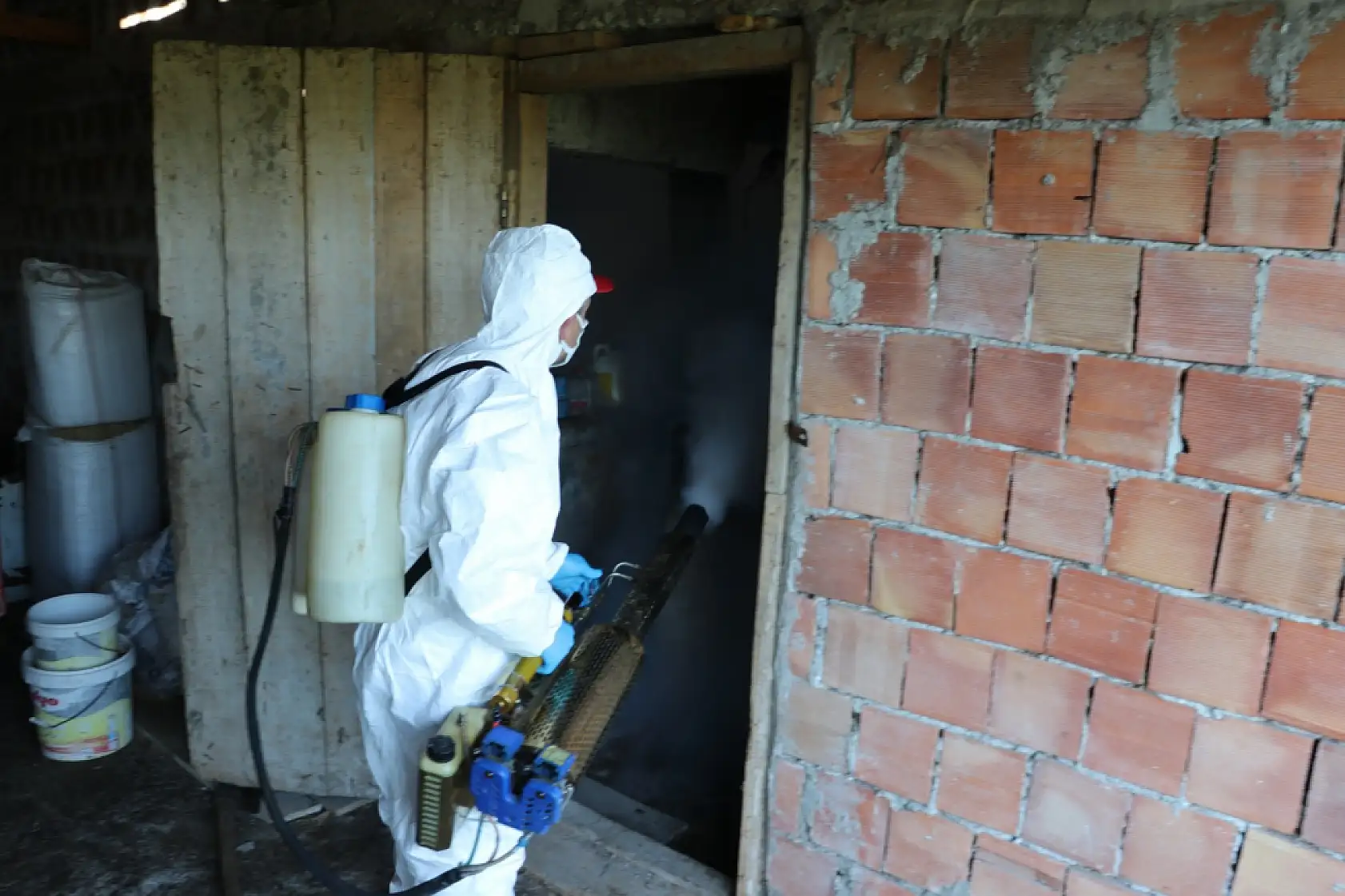 Tarım Zararlısına Karşı Çarşamba'da Mücadele Sürüyor