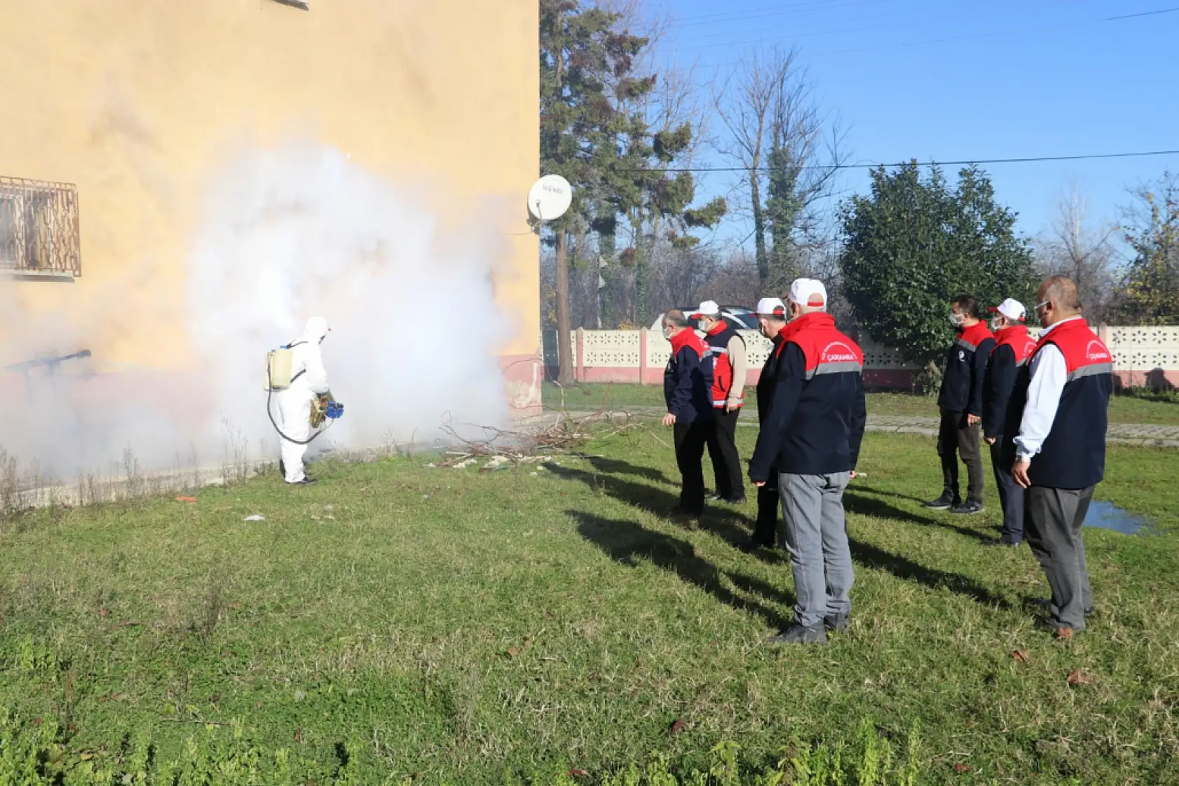 Tarım Zararlısına Karşı Çarşamba'da Mücadele Sürüyor