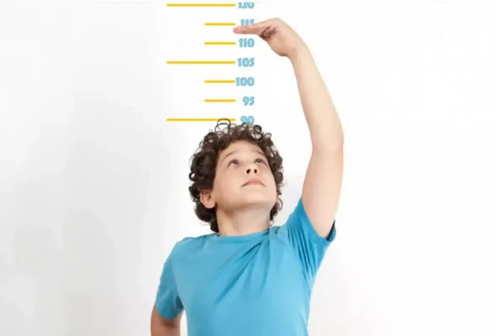 Türkiye'de Şehirlerin Boy Ortalaması Açıklandı