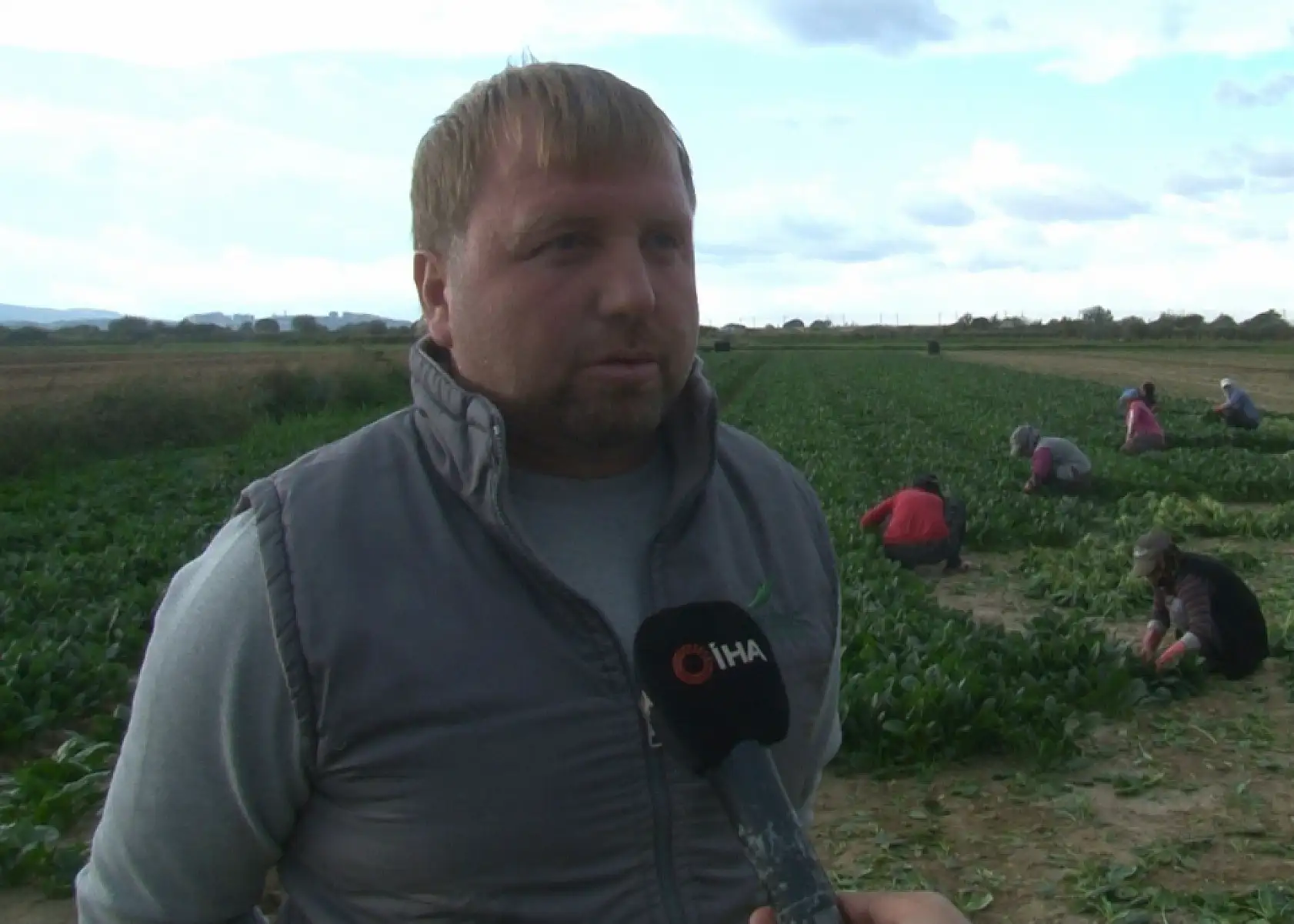 Ispanağın kilosu tarlada 6, pazarda 40 TL