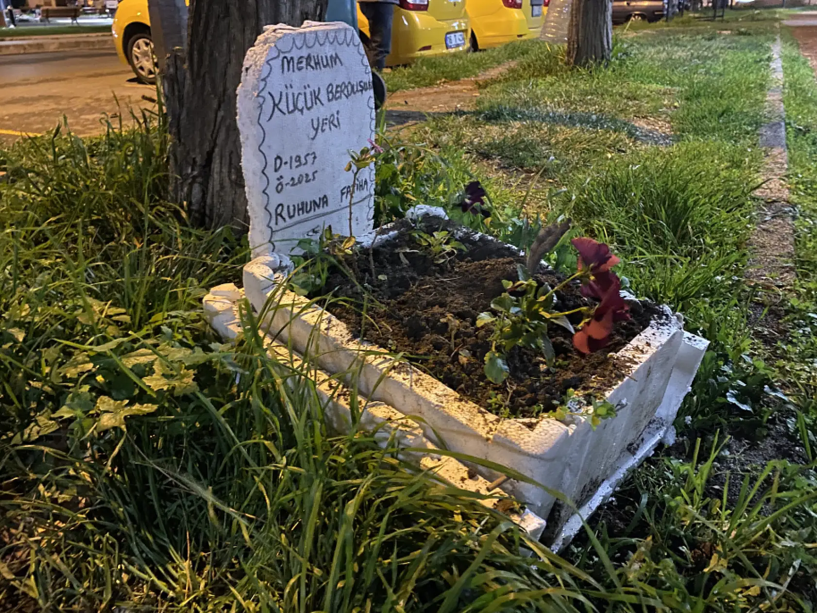 Taksicilerden Vefa: Ölen Muhabbet Kuşu İçin Mini Mezar