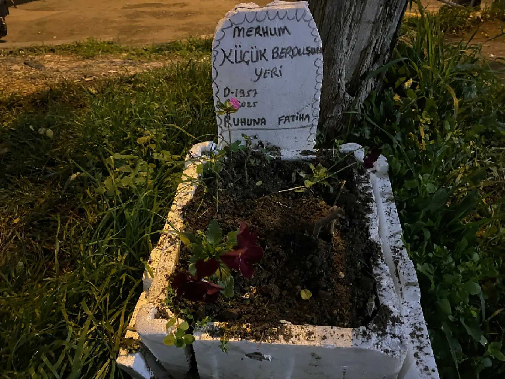 Taksicilerden Vefa: Ölen Muhabbet Kuşu İçin Mini Mezar