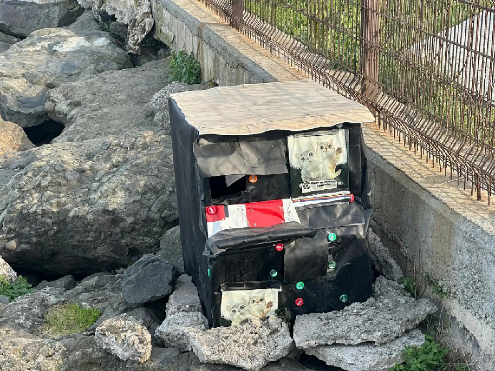 Samsun Sahilinde Kediler İçin Sıcak Yuva