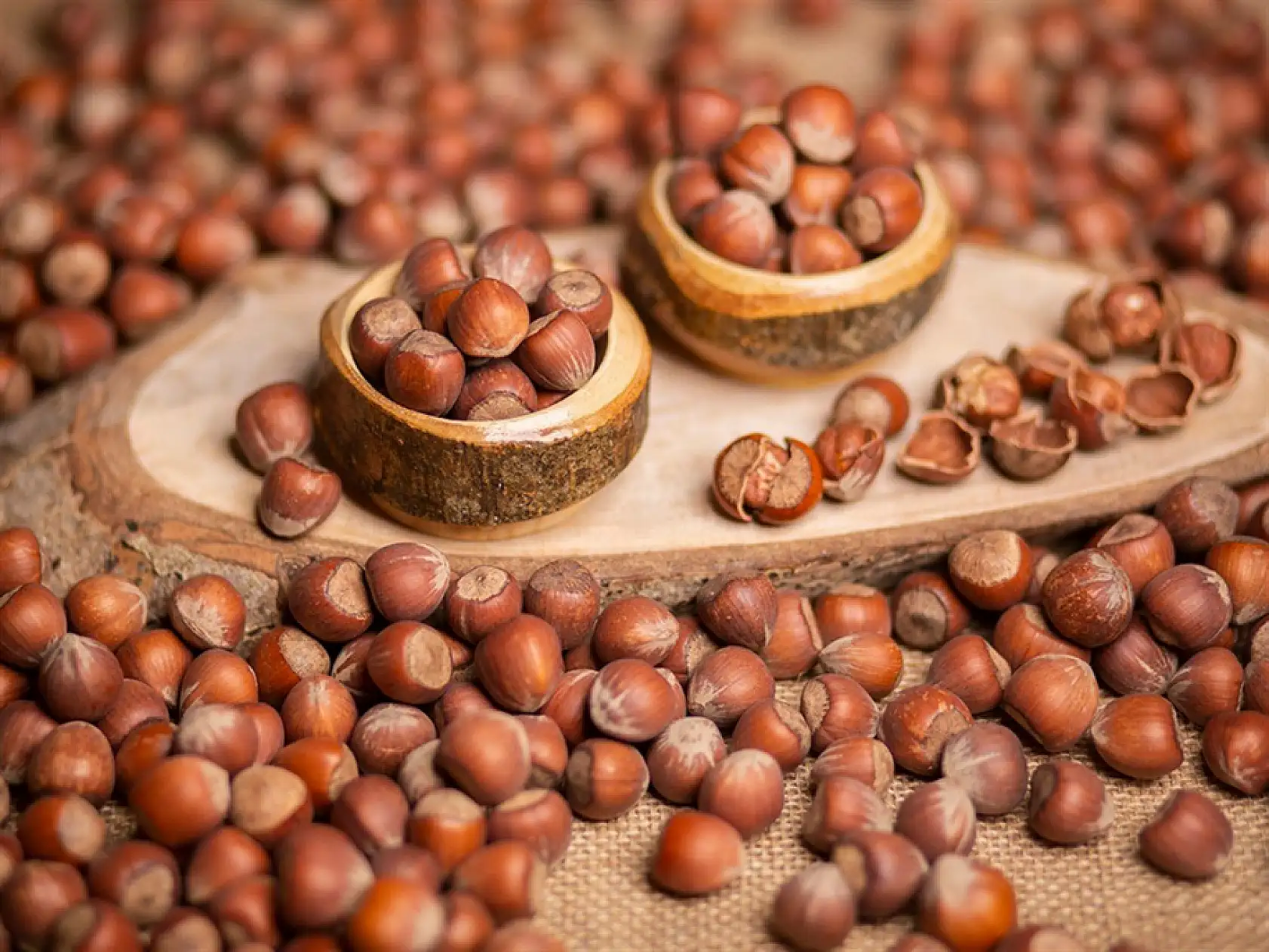 4 Ocak 2026 Giresun Fındık Fiyatları