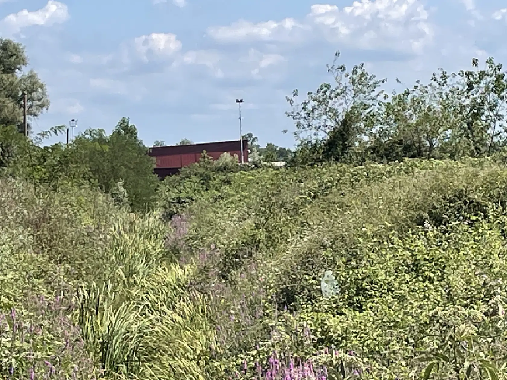 Çarşamba'da Kötü Koku İsyanı: 'Camlarımızı Açamaz Hale Geldik'