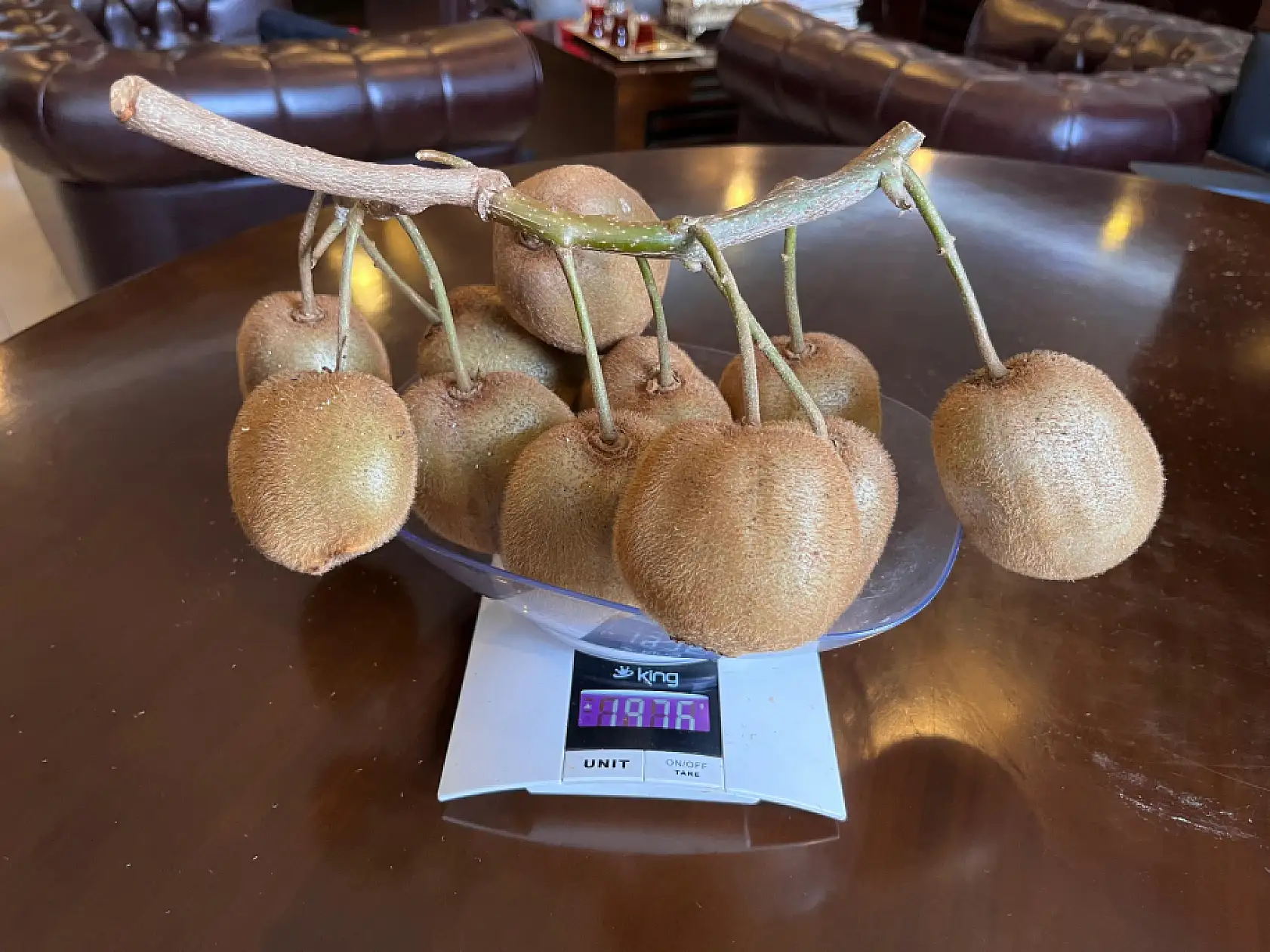 Çarşamba'da 180 gramlık kivi tescillendi