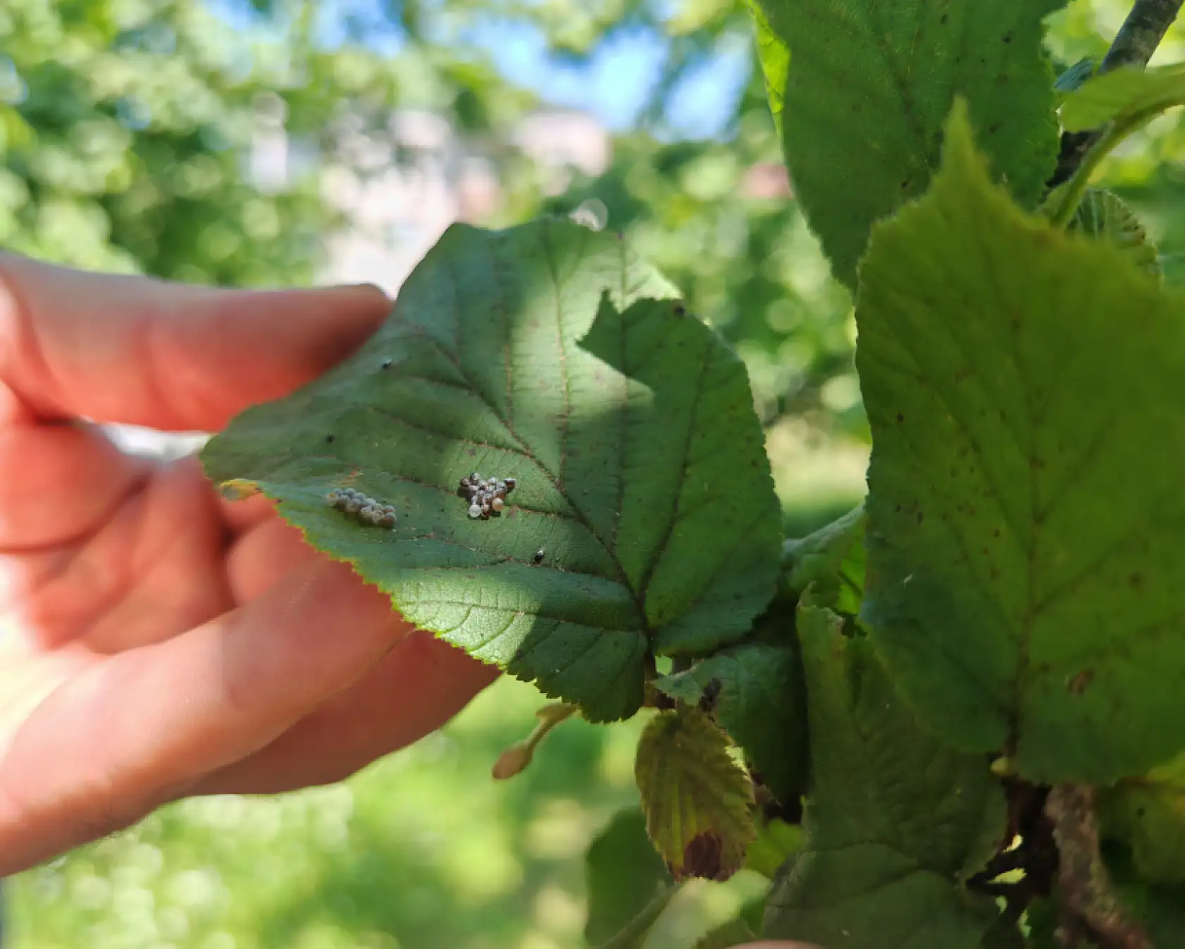 'Kritik hazırlıklar' yoğunlaştı