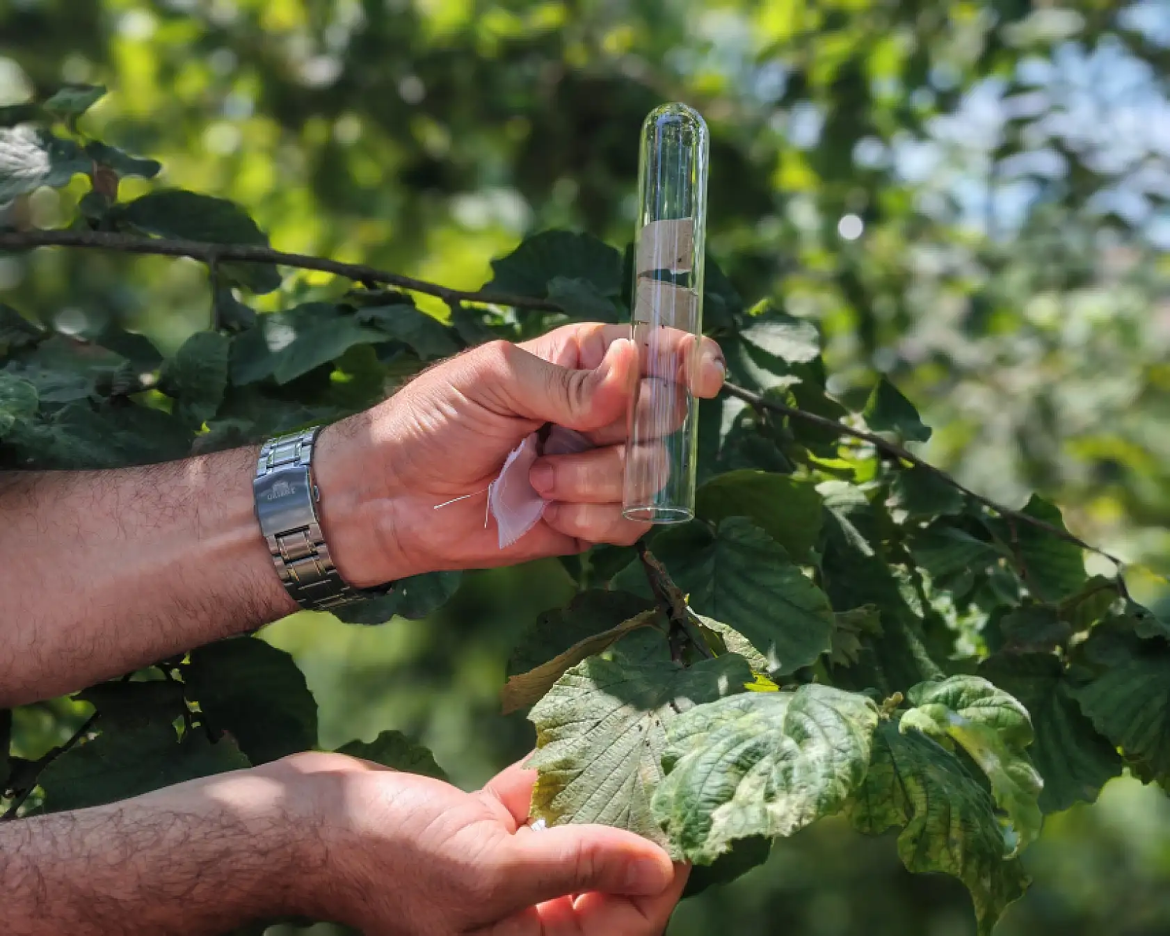 'Kritik hazırlıklar' yoğunlaştı