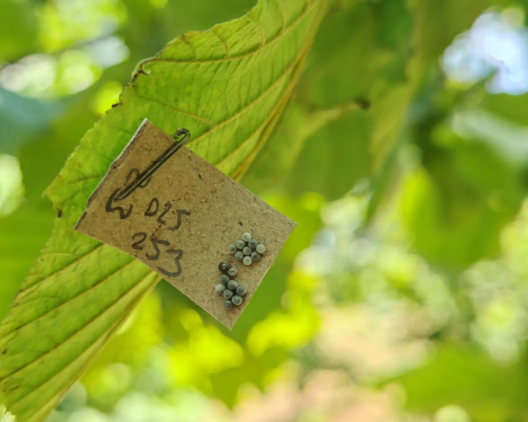 'Kritik hazırlıklar' yoğunlaştı