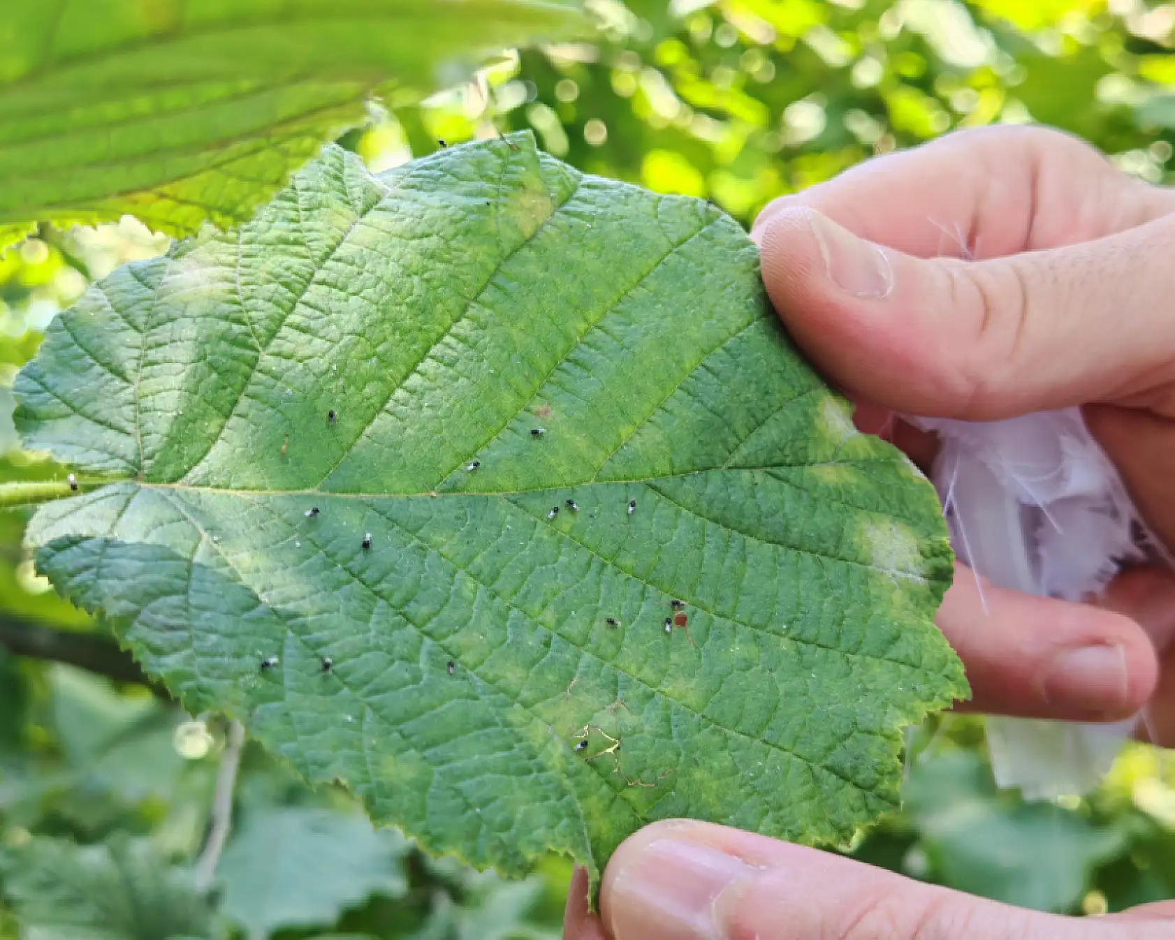 'Kritik hazırlıklar' yoğunlaştı