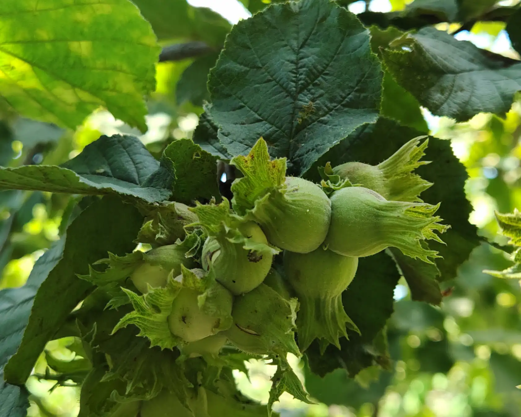'Kritik hazırlıklar' yoğunlaştı