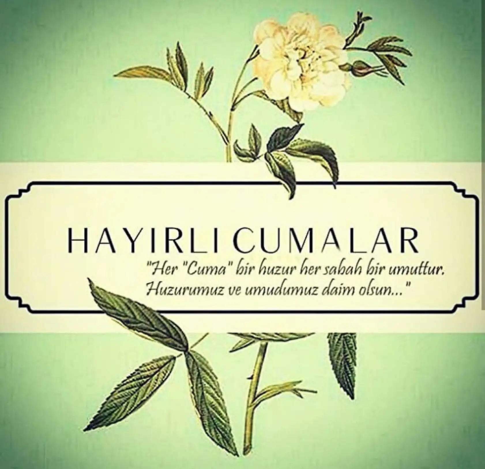 Resimli Hayırlı Cumalar Mesajları 2025