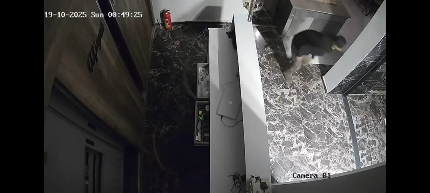 O hırsız bu defa lokantaya girdi