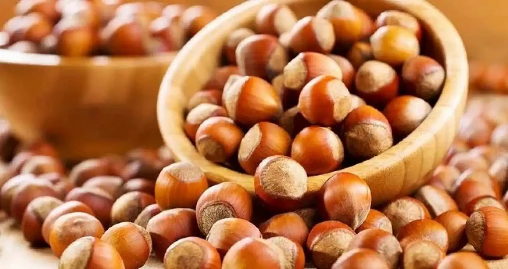 Zonguldak'ta Fındık Fiyatları Netleşti