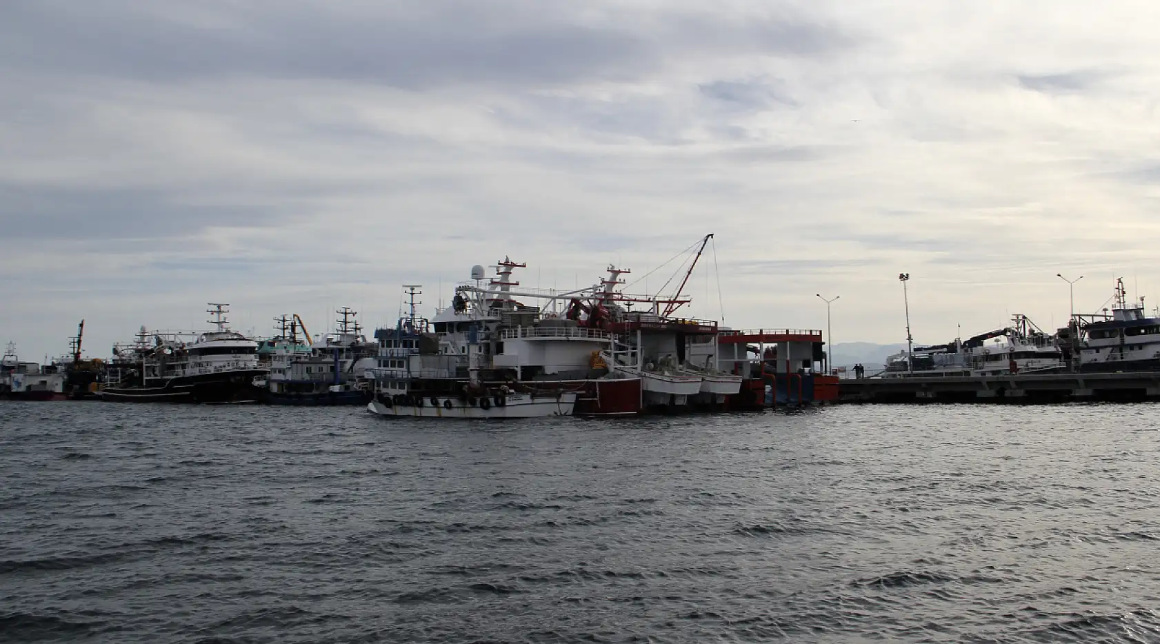 Karadeniz'de Hamsi Avı