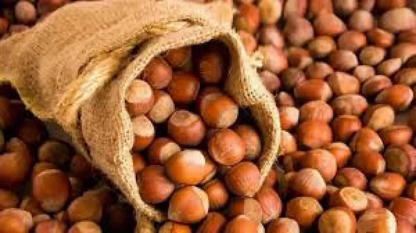 4 Ocak 2026 Giresun Fındık Fiyatları