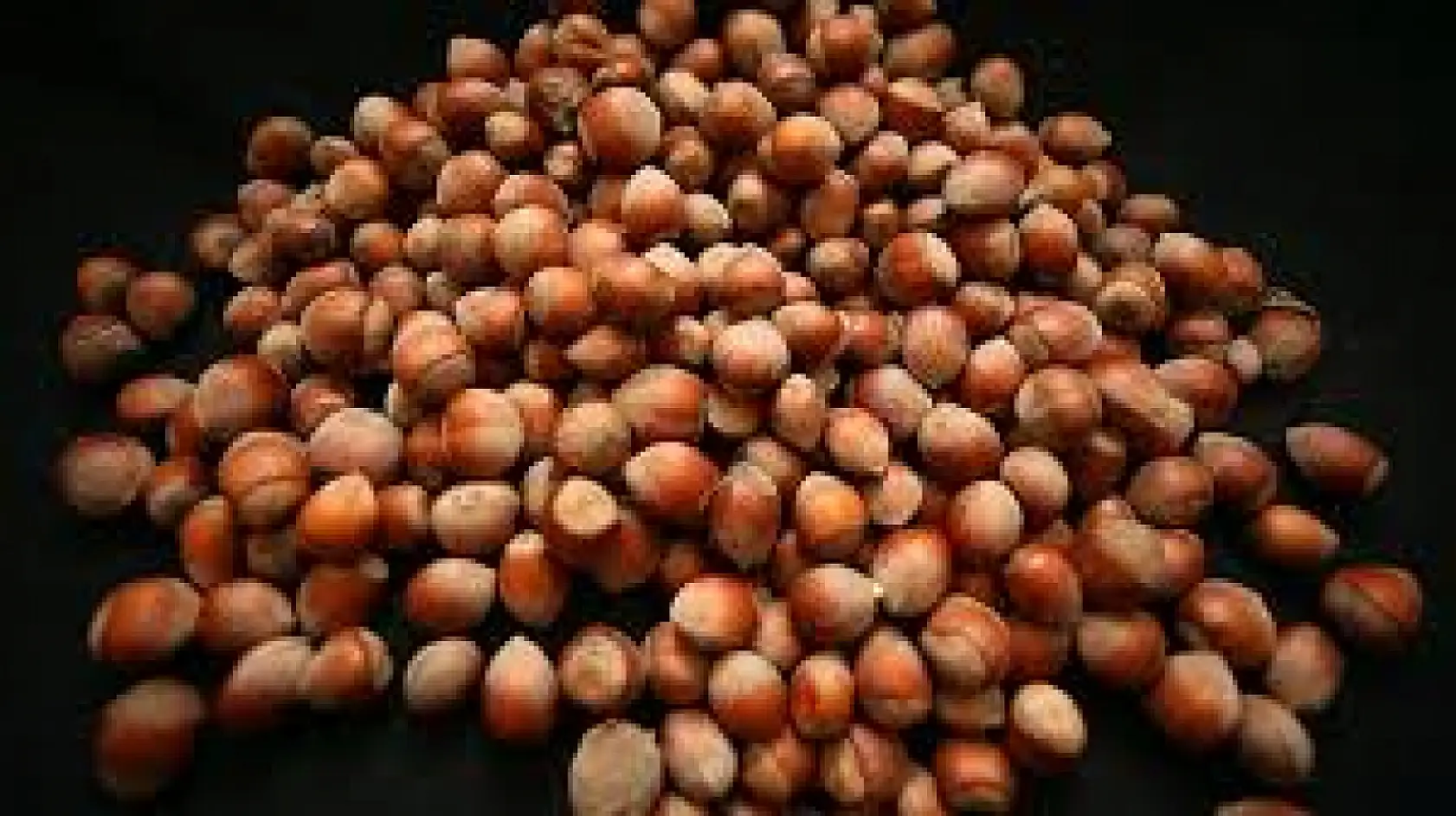 Bartın'da Fındık Fiyatları Güncellendi: Sahil Üretimi Piyasaya Yön Veriyor