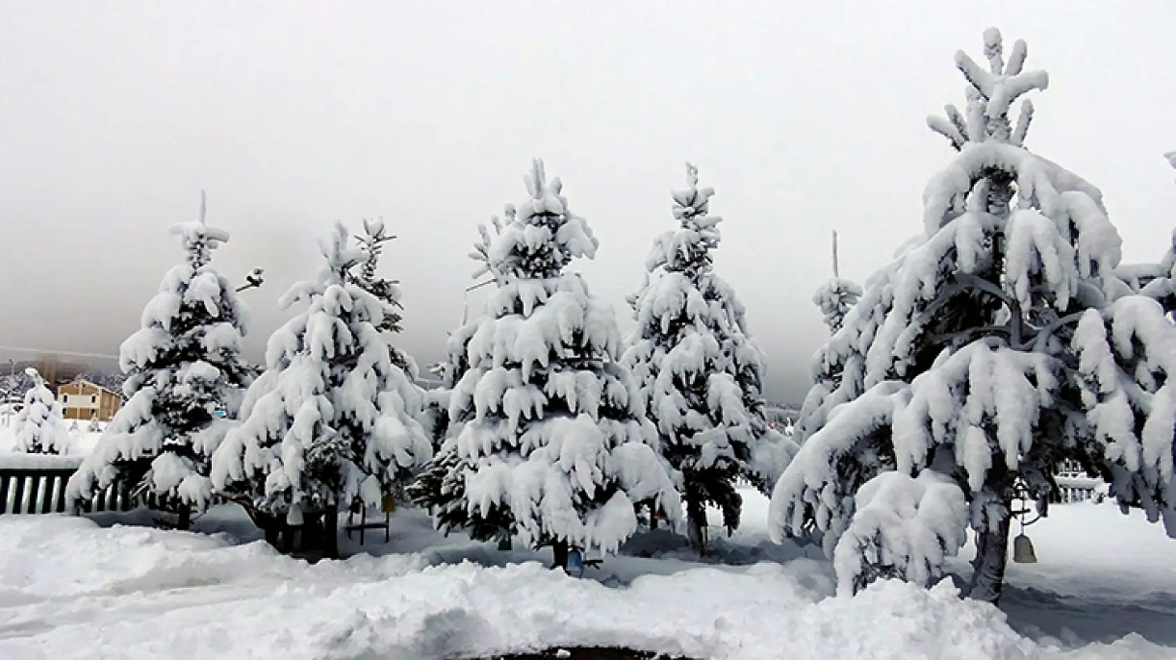 Yurdun bazı kesimlerinde kar yağışı ve soğuk hava etkili oluyor
