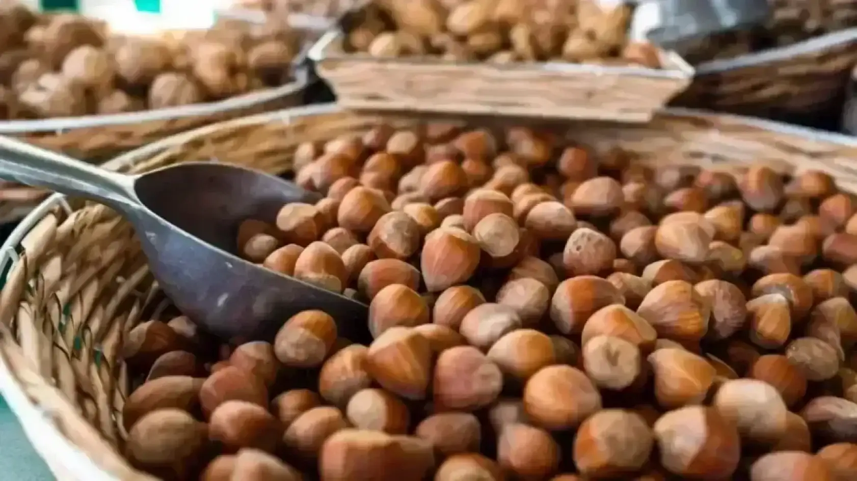 5 Kasım 2025 Samsun fındık fiyatları belli oldu