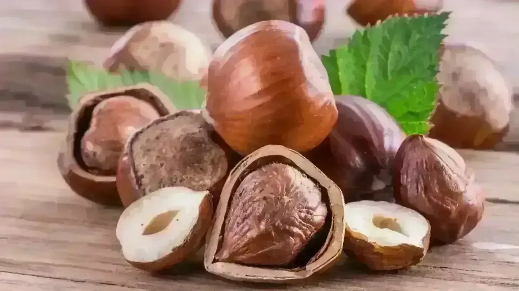 5 Kasım 2025 Ordu Fındık Fiyatları Belli Oldu