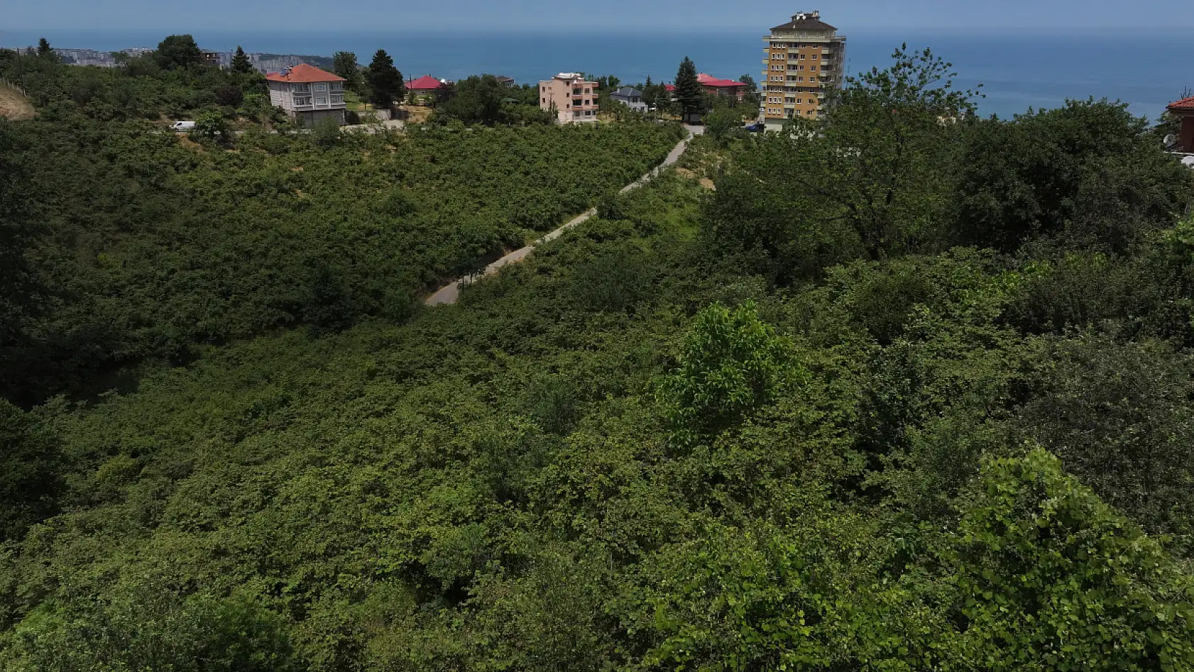 'Kritik hazırlıklar' yoğunlaştı