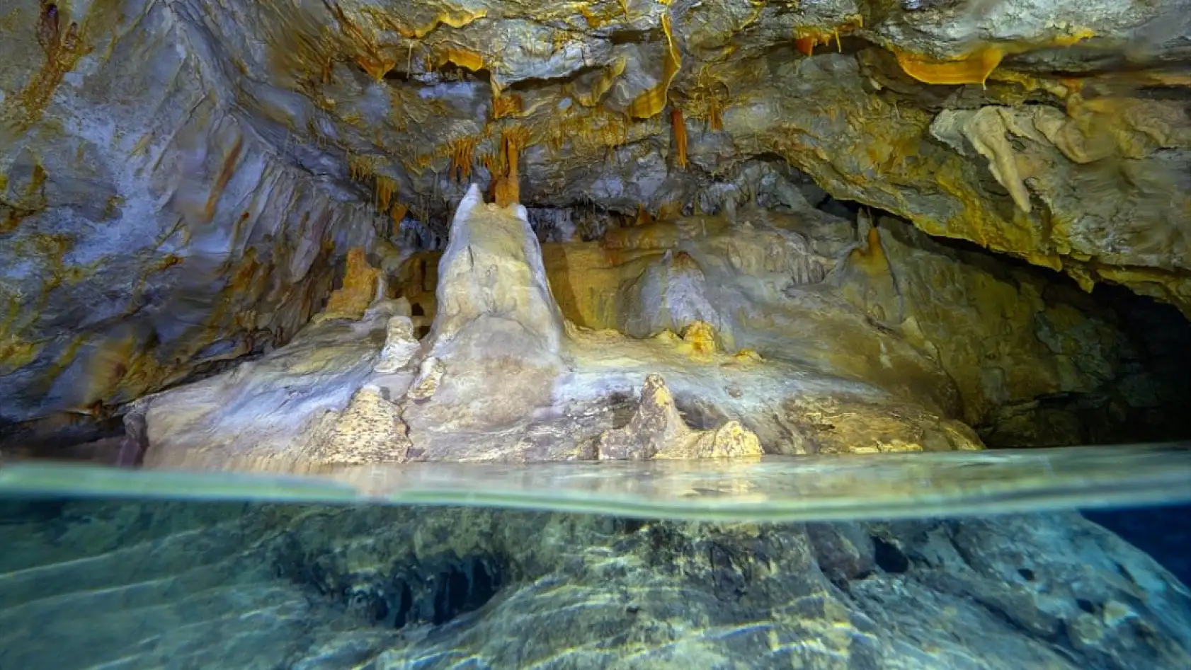 Doğu Akdeniz'in derinliklerindeki renkli yaşam görüntülendi