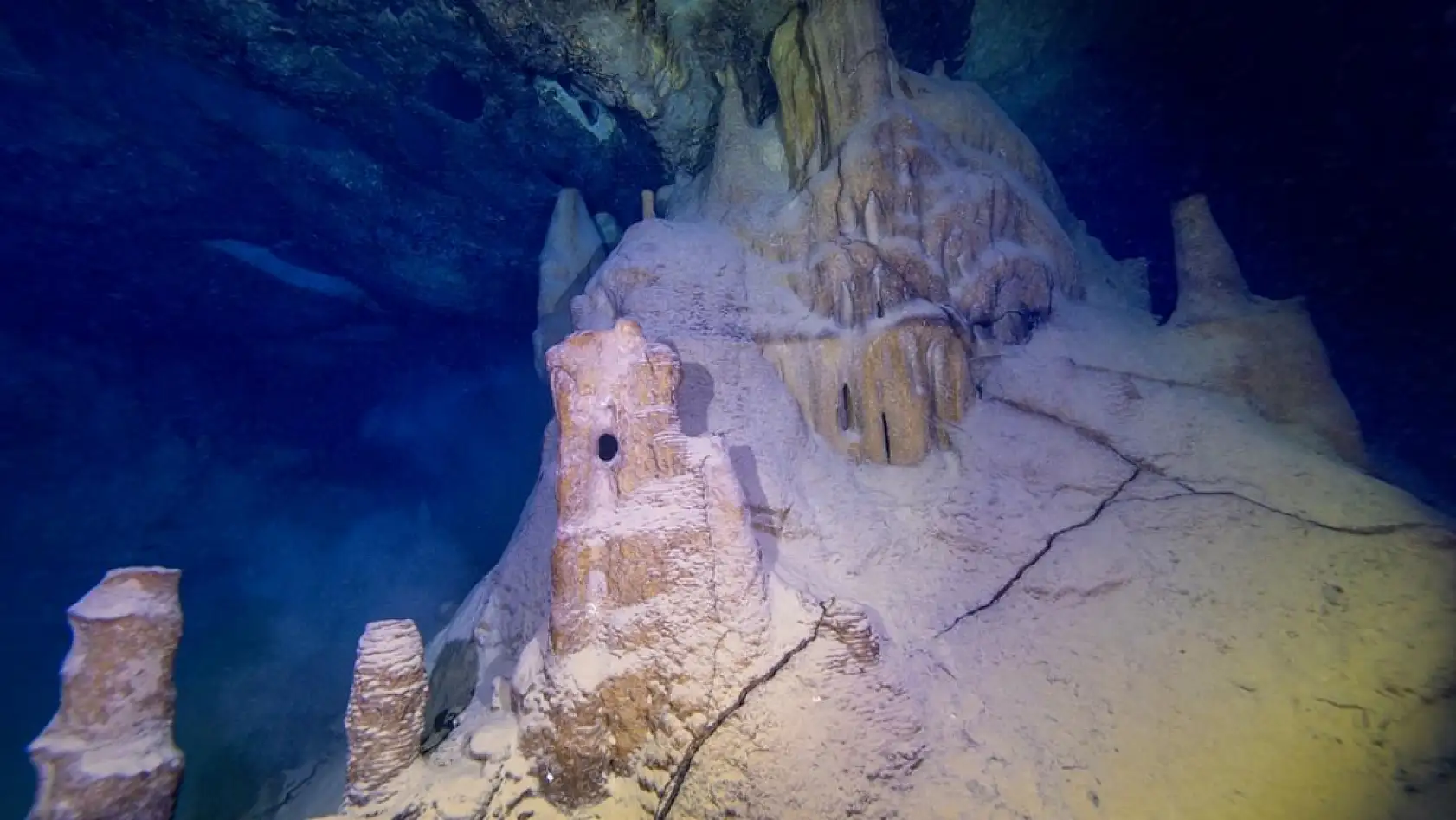 Doğu Akdeniz'in derinliklerindeki renkli yaşam görüntülendi