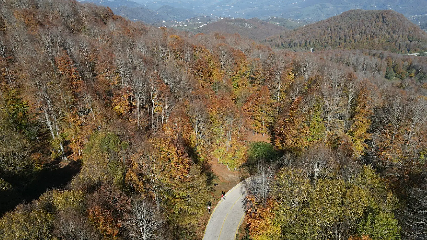 Sarı, Kahve, Yeşil… Nebiyan Dağı Sonbahara Büründü
