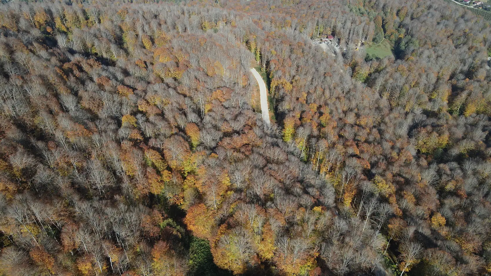 Sarı, Kahve, Yeşil… Nebiyan Dağı Sonbahara Büründü