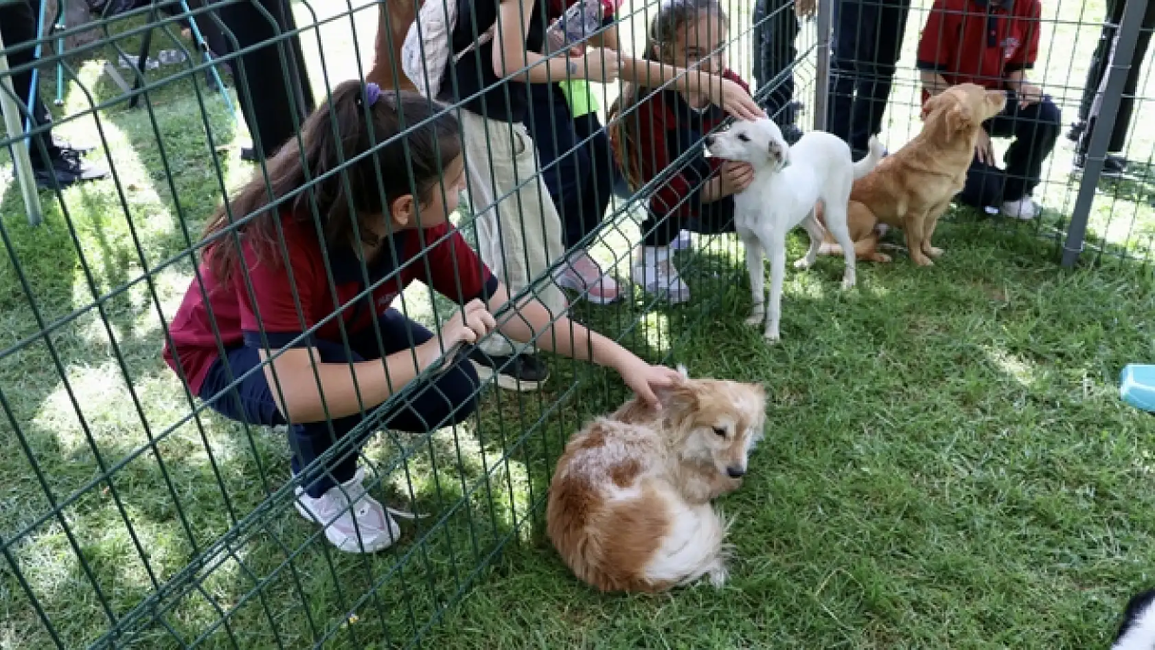 Samsun'da Bu Hafta Sonu Nereye Gidilir? İşte Dolu Dolu Etkinlik Rehberi (Tarihli)