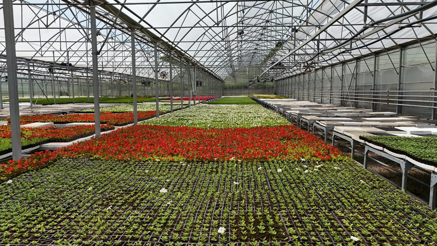 Samsun'un renk kaynakları!