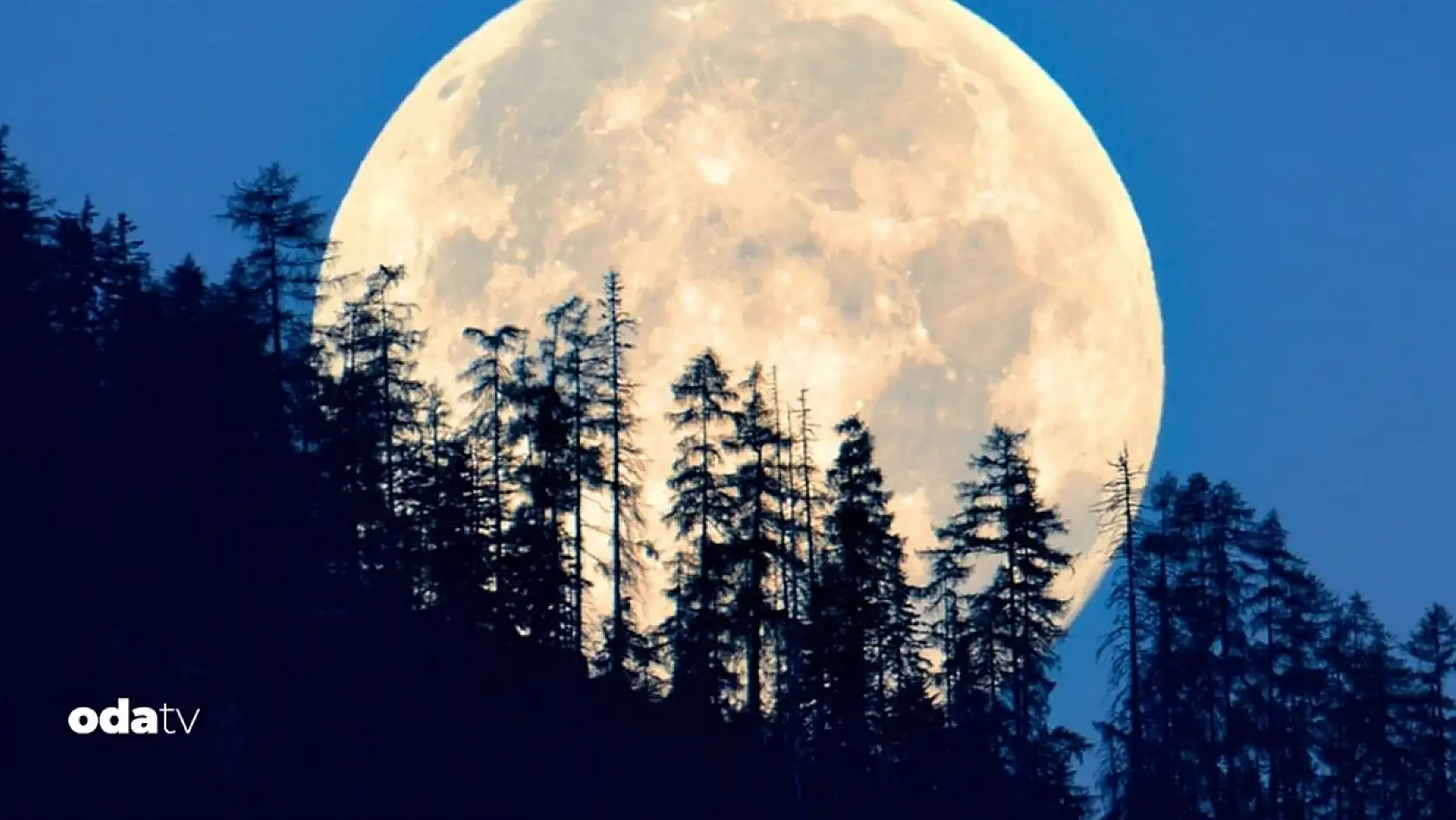 Kasım Dolunayı hangi gün?