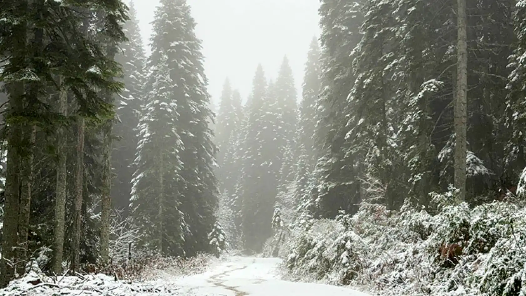 Yurdun bazı kesimlerinde kar yağışı ve soğuk hava etkili oluyor