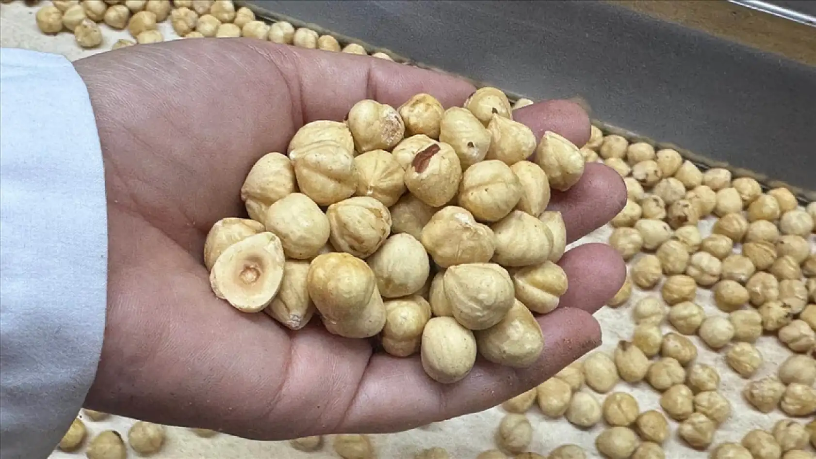 Türkiye'nin Fındık İhracatında İlk 3 Ay Verileri Açıklandı