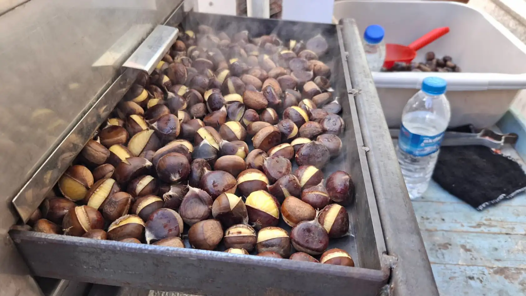 Kestane Sezonu Açıldı Peki iyi kestane nasıl anlaşılır