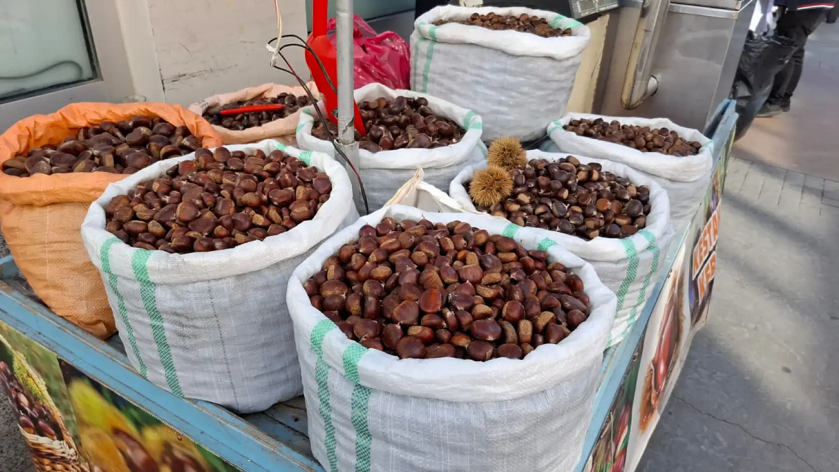 Kestane Sezonu Açıldı Peki iyi kestane nasıl anlaşılır