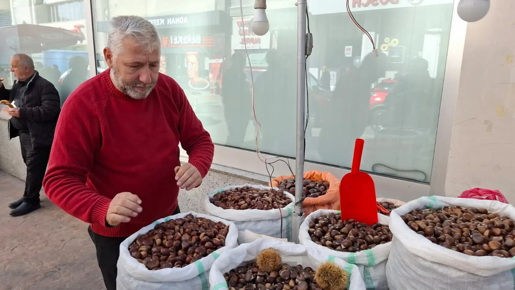 Kestane Sezonu Açıldı Peki iyi kestane nasıl anlaşılır