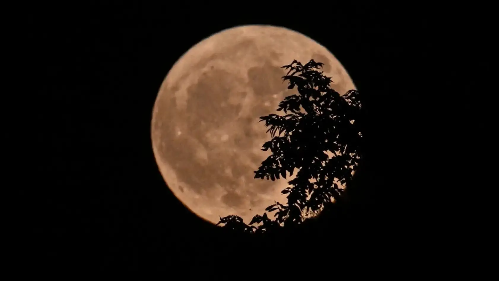 Kasım Dolunayı hangi gün?